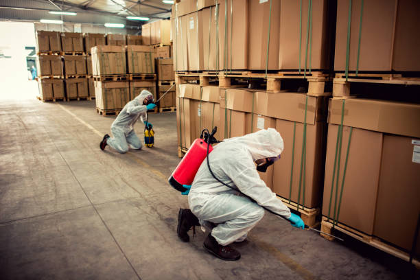 Best Insect Control  in Arlington, WA