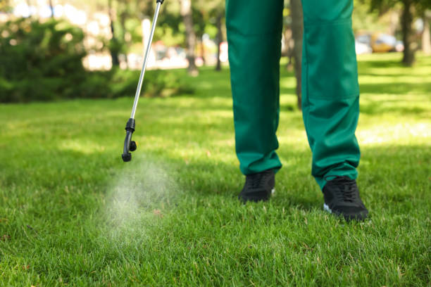 Best Emergency Pest Control  in Arlington, WA
