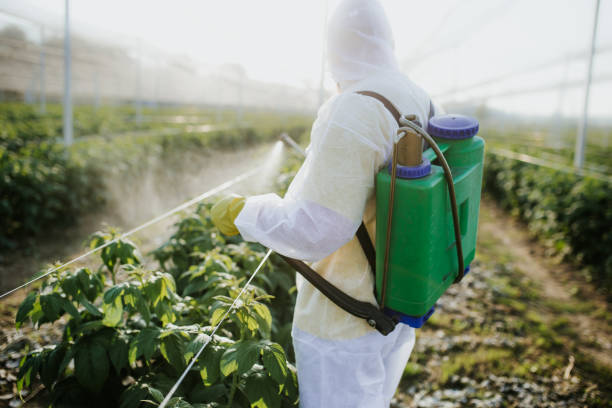 Arlington, WA Pest Control Company